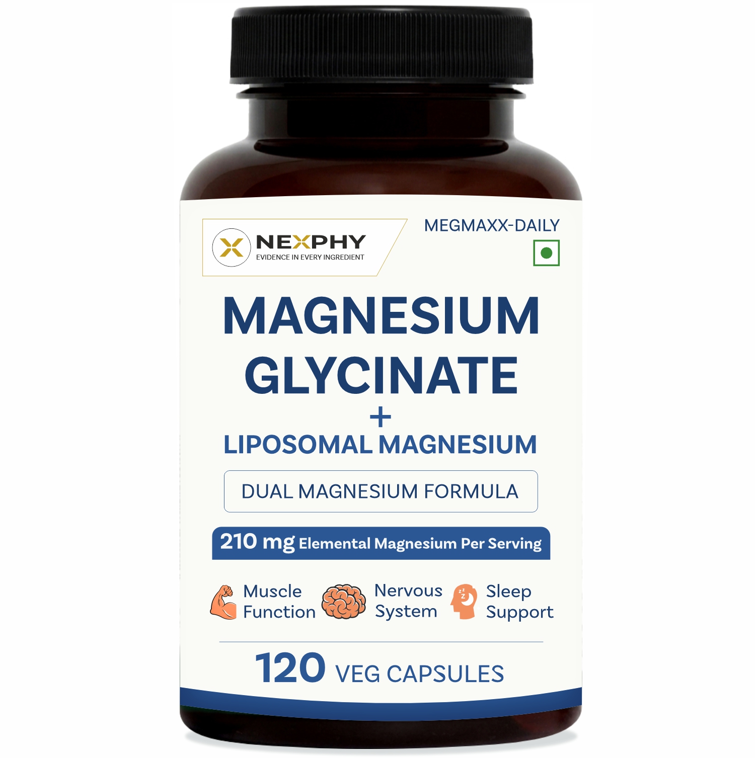 Understanding Liposomal & Chelated Magnesium: High Bioavailability for Muscle Recovery