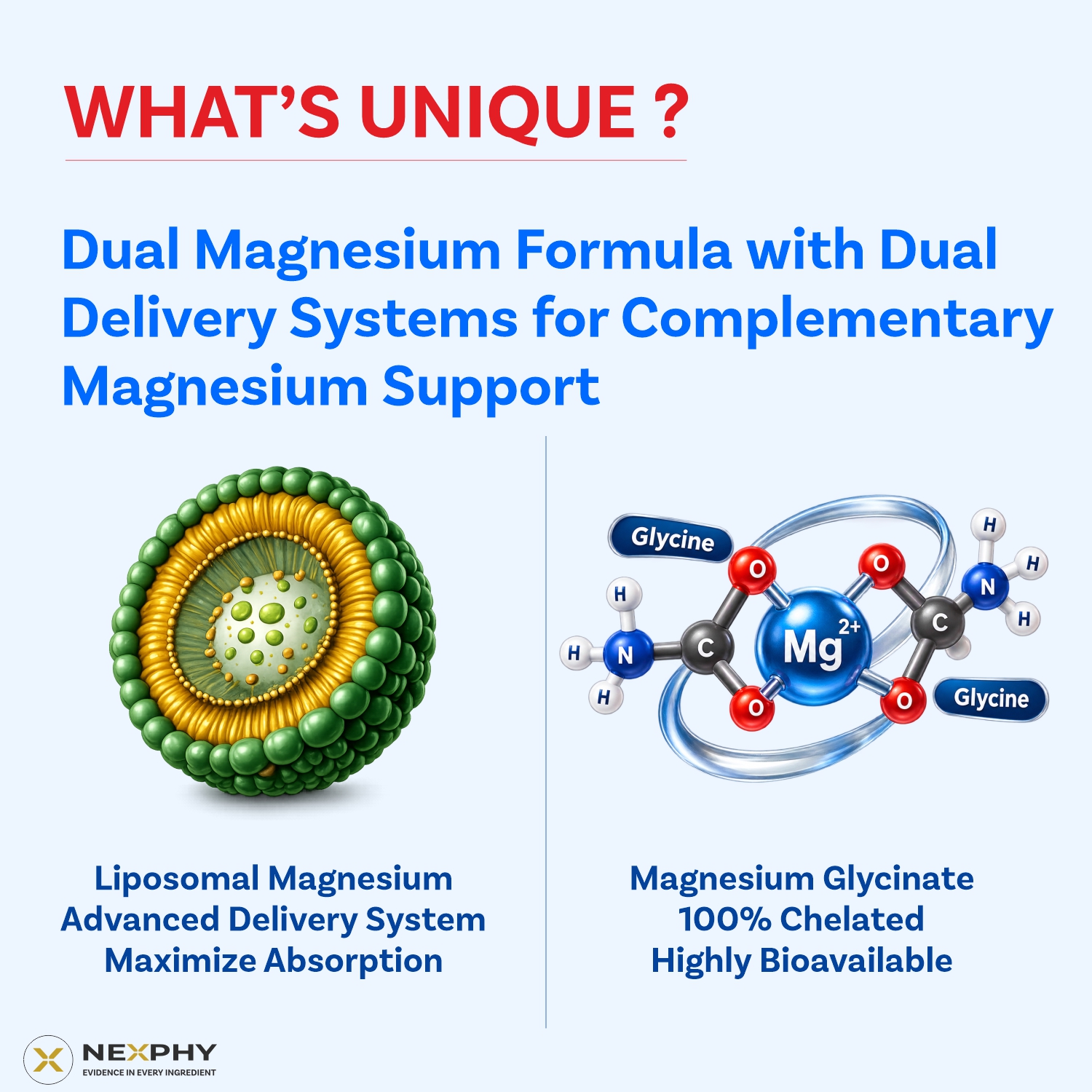 Megmaxx-Daily Chelated Magnesium Glycinate (Bisglycinate) 1200mg with Liposomal Magnesium 300mg | Dual formula | Non buffered | Highly Bioavailable | support Muscle Recovery, Nerve function, Sleep, Relaxation and bone health | 120 Vegetable capsules for M